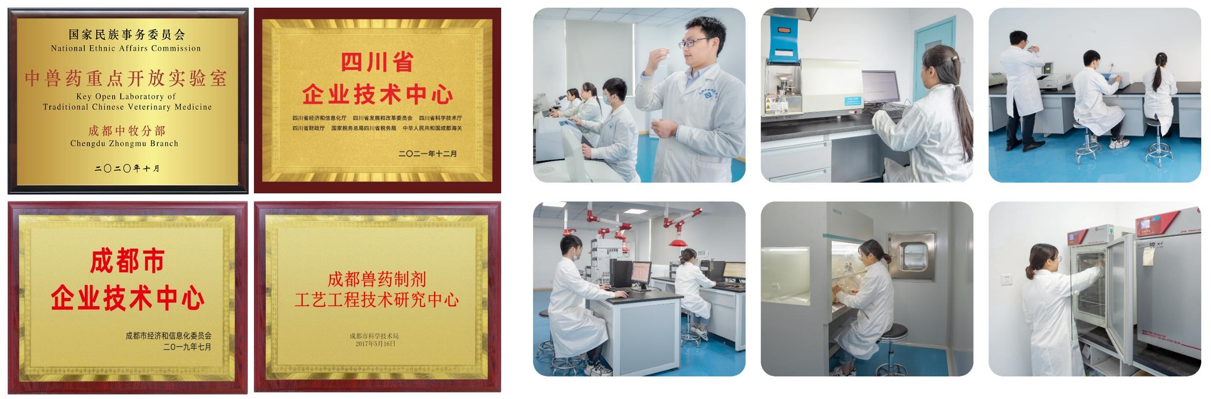 20230727153247_8495 lm体育(中国)官方网站-登录入口