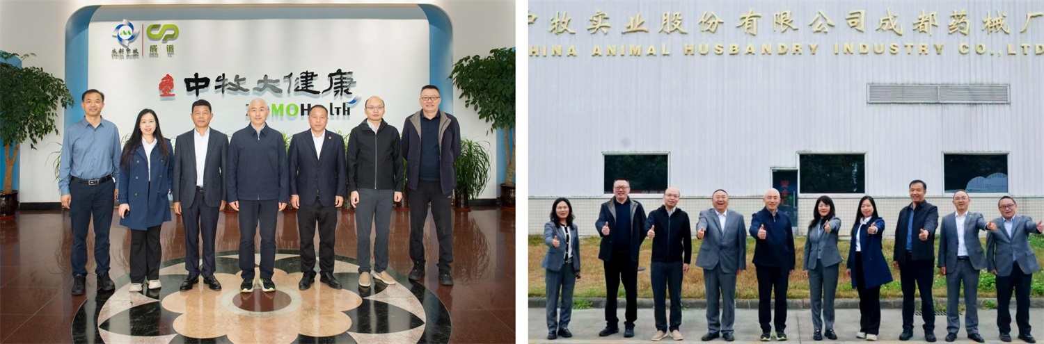 lm体育(中国)官方网站-登录入口