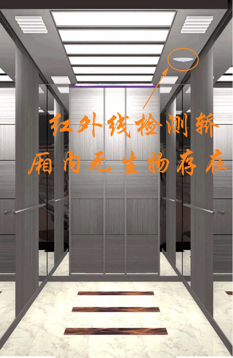 新得利·(中国)有限公司官网